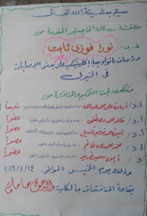 Master Dissertation Discussion of the Researcher\ Noura Fawzy Thabet