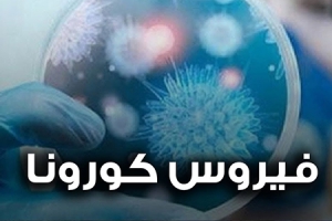 Database for the Novel Coronavirus "Covid19