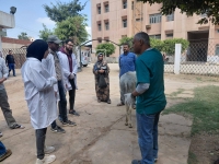 Continued Implementation of Veterinary Convoys at the Educational Veterinary Hospital in Cooperation with the Egyptian Bridge Foundation for Media and Development